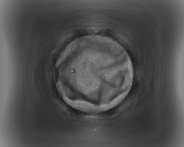 X0000083040961200703022045