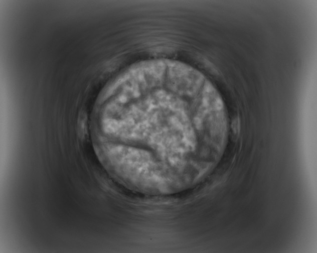 X0000083040963200703022045