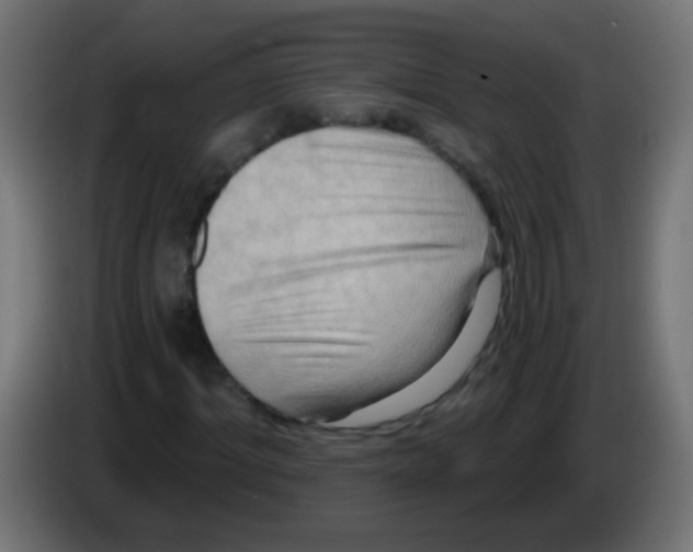 X0000083040964200703022045