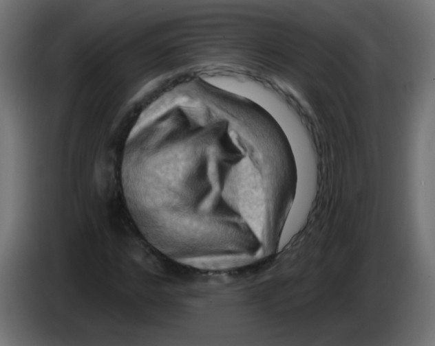 X0000083040968200703022045