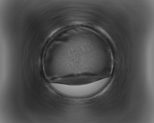 X0000083040969200703022045
