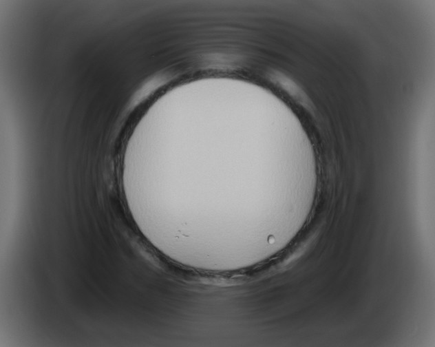 X0000083040970200703022045