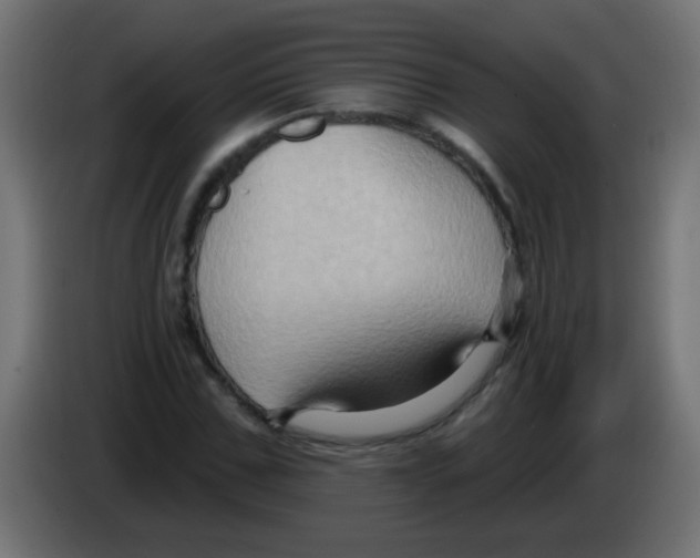 X0000083040971200703022045