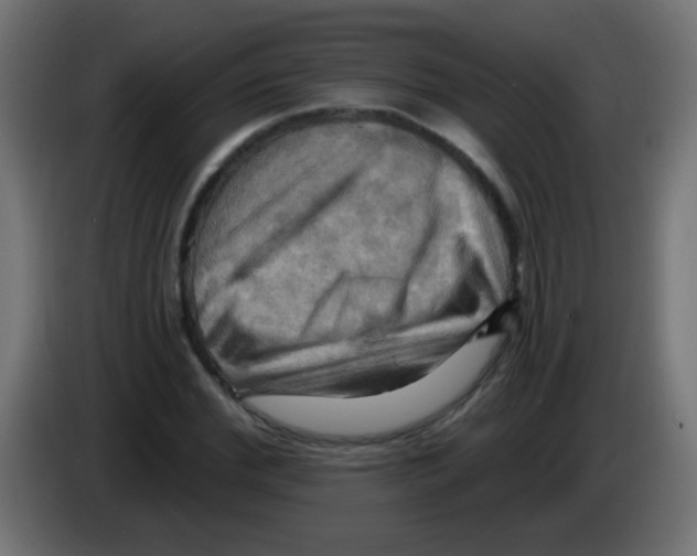 X0000083040972200703022045