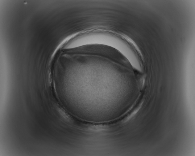 X0000083040973200703022045