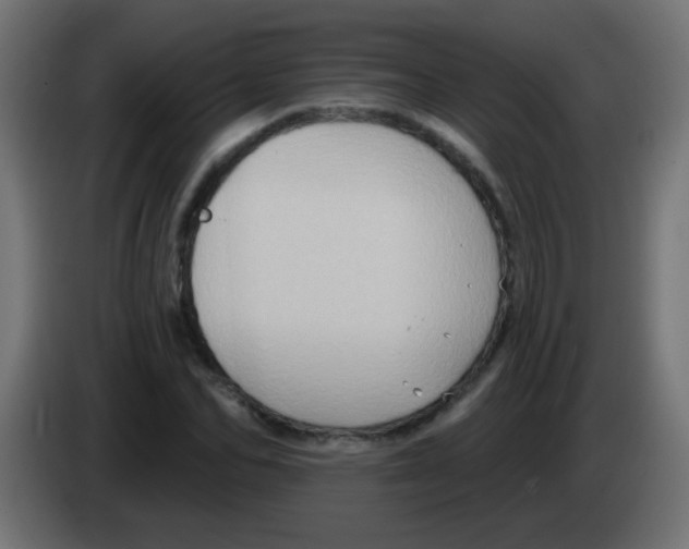 X0000083040974200703022045
