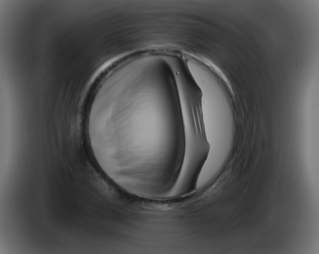 X0000083040975200703022045