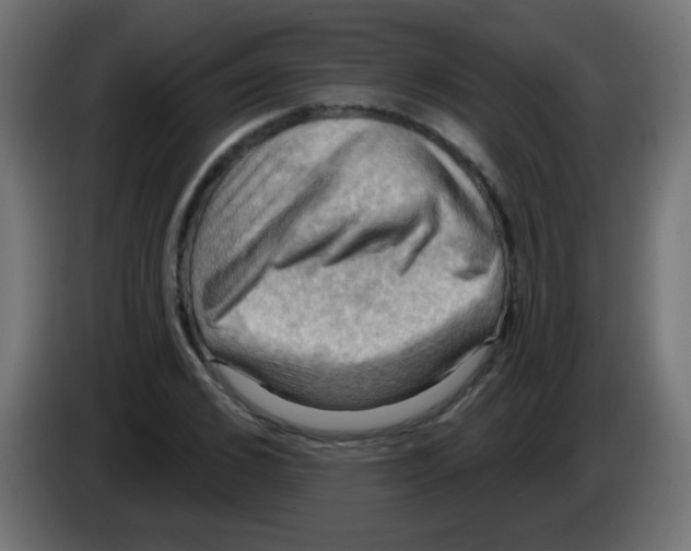 X0000083040976200703022045