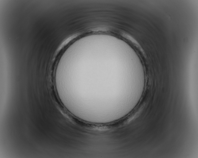 X0000083040978200703022045