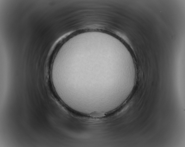 X0000083040979200703022045
