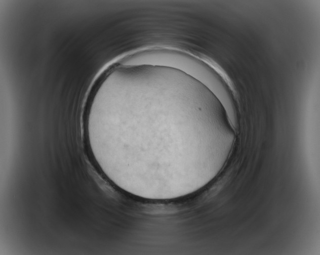 X0000083040980200703022045