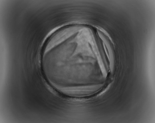 X0000083040981200703022045