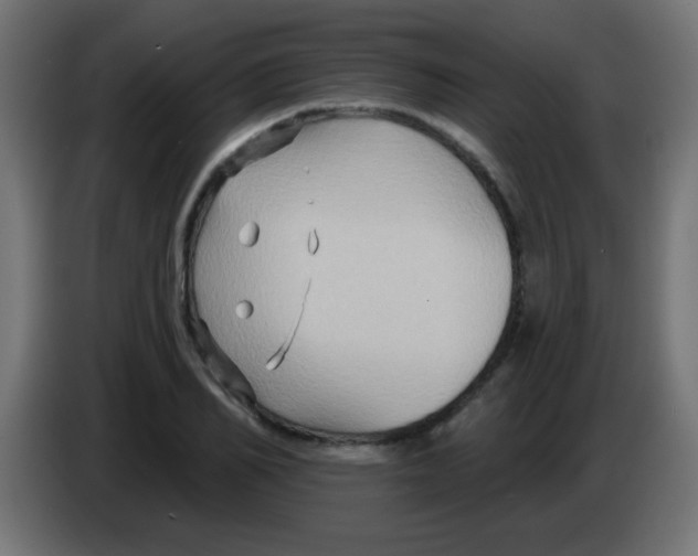 X0000083040982200703022045