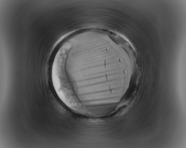 X0000083040983200703022045