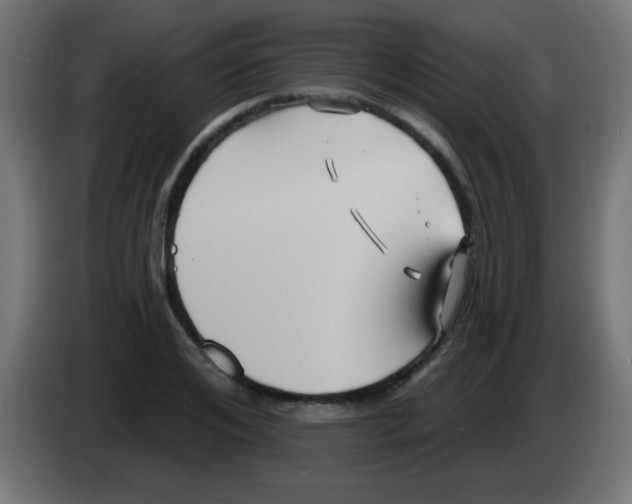 X0000083040984200703022045