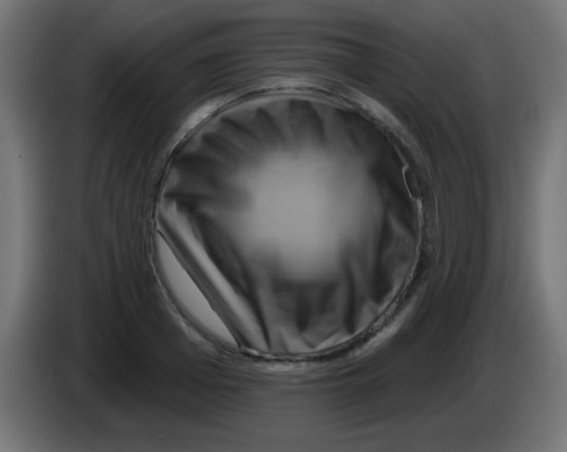 X0000083040985200703022045
