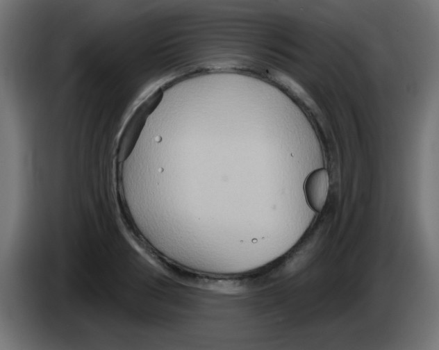 X0000083040986200703022045