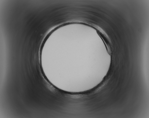 X0000083040988200703022045