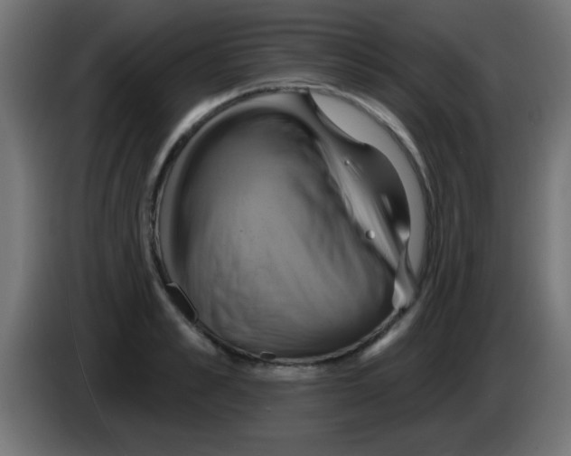 X0000083040989200703022045