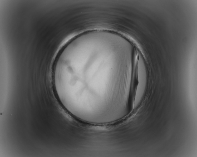 X0000083040990200703022045
