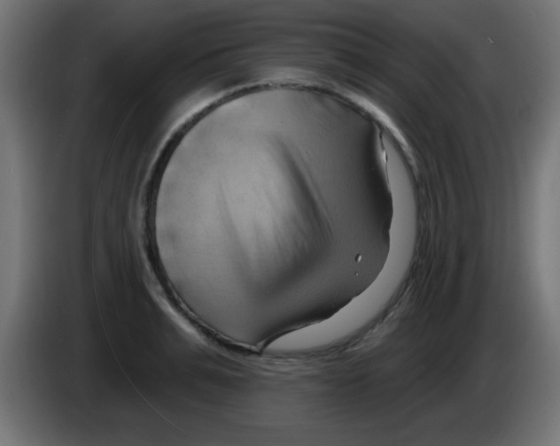 X0000083040991200703022045