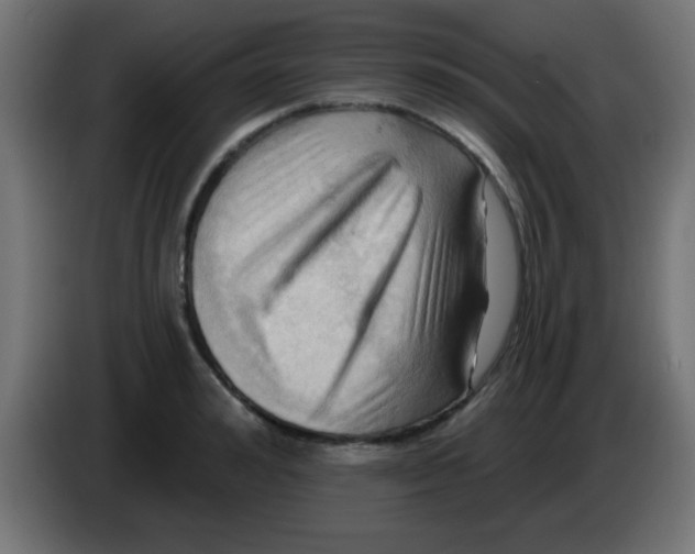 X0000083040992200703022045