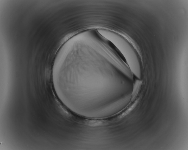 X0000083040993200703022045