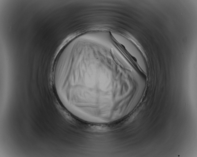 X0000083040994200703022045