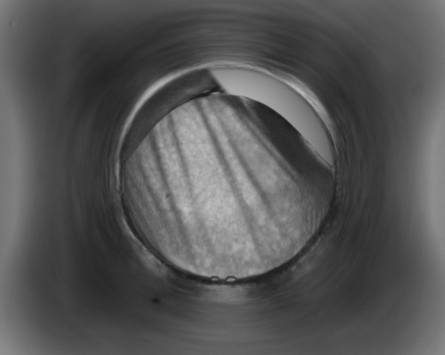 X0000083040996200703022044