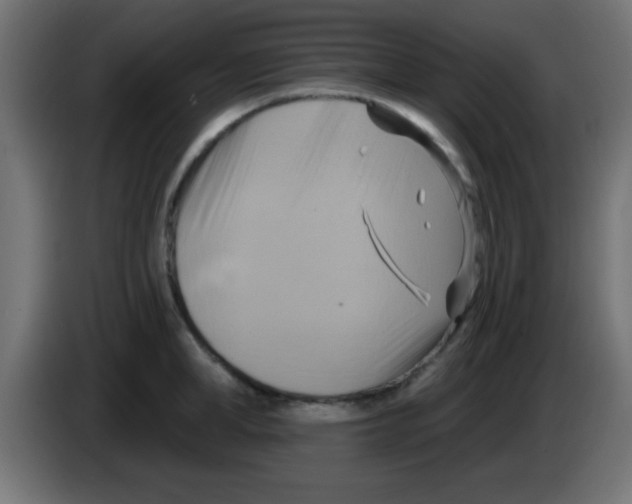 X0000083040998200703022044