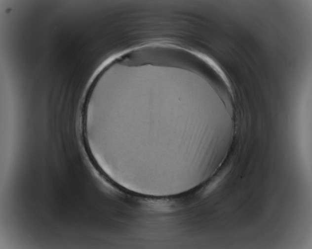 X0000083040999200703022044