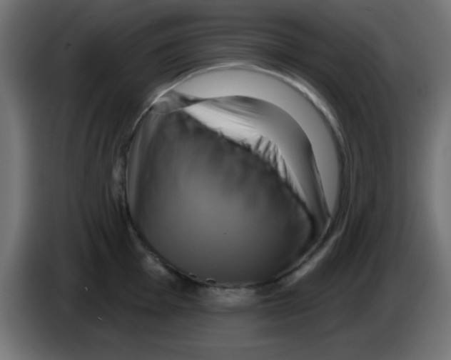 X0000083041001200703022044