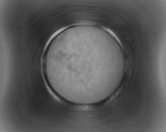X0000083041003200703022044