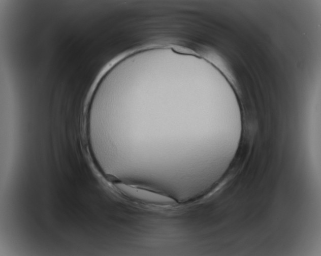 X0000083041004200703022044