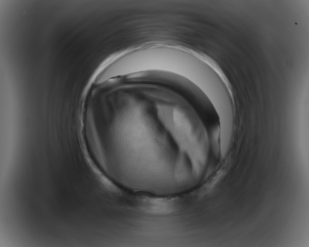 X0000083041005200703022044
