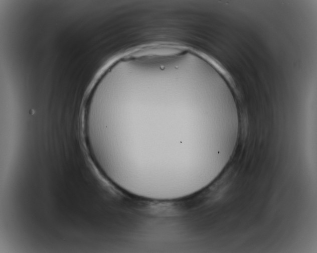 X0000083041006200703022044