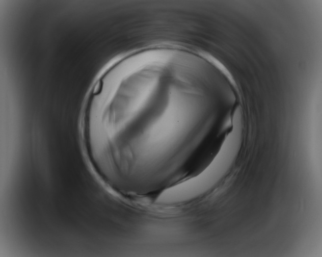X0000083041007200703022044