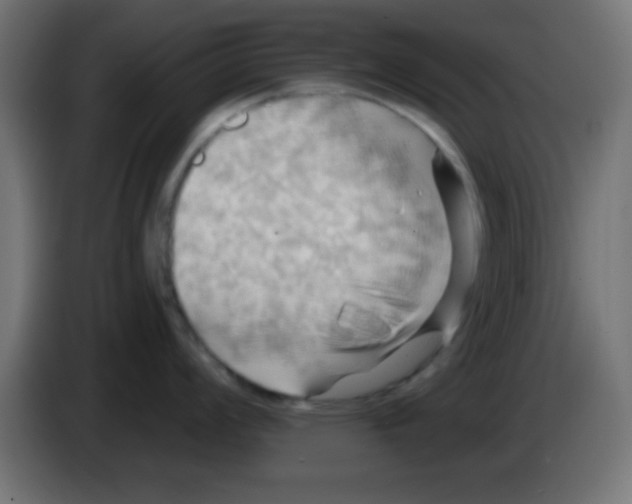 X0000083041008200703022044
