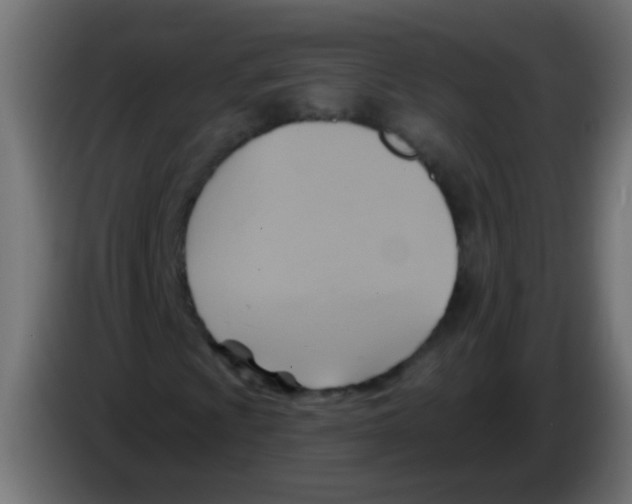 X0000083041009200703022044