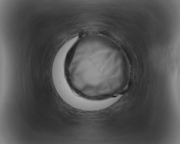 X0000083041010200703022044