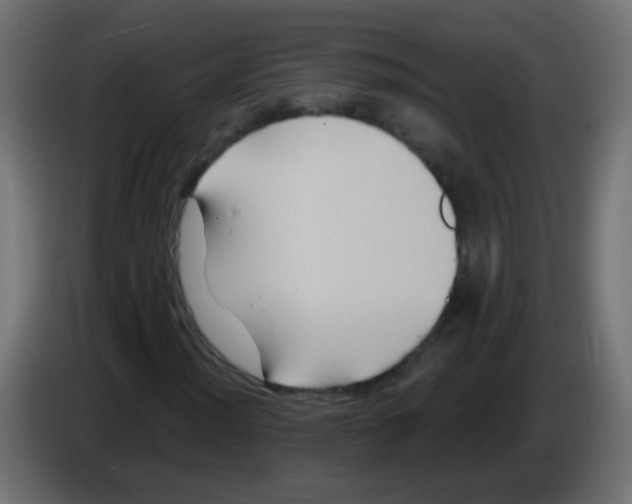 X0000083041012200703022044