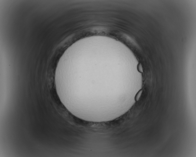 X0000083041015200703022044