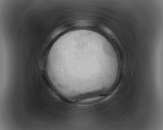 X0000083041017200703022044