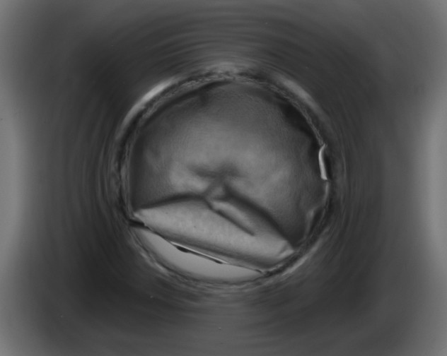 X0000083041018200703022044