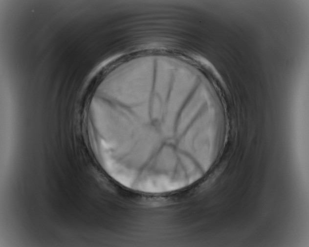 X0000083041019200703022044