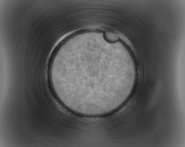 X0000083041020200703022044
