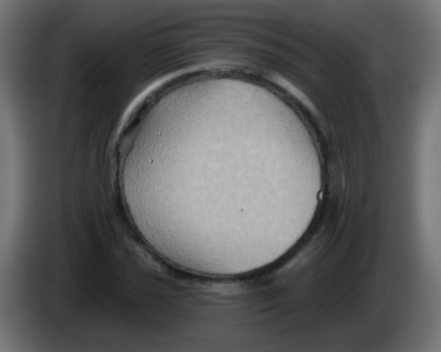 X0000083041021200703022044
