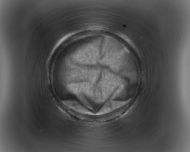 X0000083041022200703022044