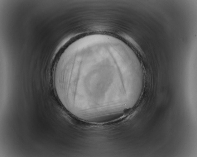 X0000083041023200703022044