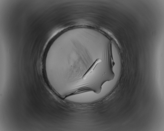 X0000083041024200703022044